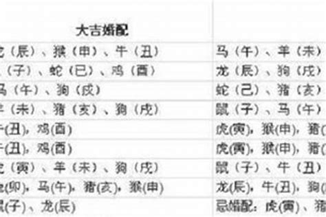 1997年 生肖|1997年属牛的最佳配偶 97年属牛的和什么属相最配